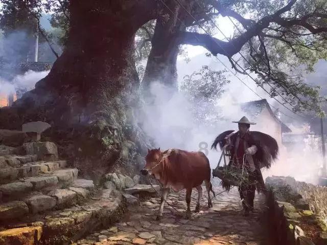 探索怎样炼制猪油好吃又不坏,畅享知识星球平台