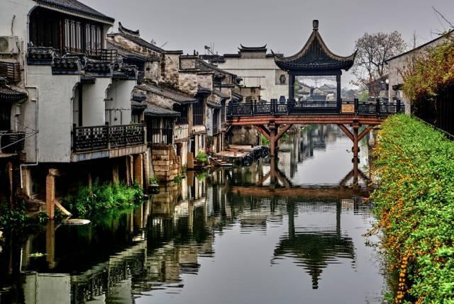 动物帮帮忙保卫家园
